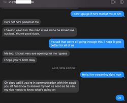 July 20, 2019 messages showing Sarah acknowledge that Onision was furious with her after accusing her of sexual extortion, before telling Lucas that she hoped both Lucas and Onision were okay.