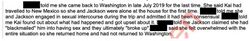 Police-report excerpt stating that Sarah had consensual sex with Onision during a July 2019 visit and that Onision accused her of blackmailing him into sex before they broke up.