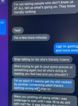 Screenshot of January 7, 2019 messages in which Sarah says she wants consensual adult sex and denies any underage plan to wait until she turned 18.