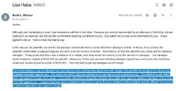 May 15, 2024 email reporting Lisa Haba’s proposal for reduced damages in exchange for an affidavit stating that Onision had a partnership agreement with Google.