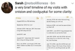Sarah’s public timeline listing repeated visits with Onision and Lucas from September 2016 through July 2019, including multiple adult visits and sexual activity during three separate 2019 trips.