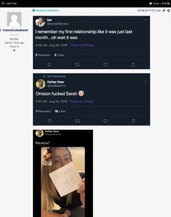 August 24, 2019 posts in which Sarah and Ayalla publicly joke that Onision had sex with Sarah and display a photograph apparently intended as proof.