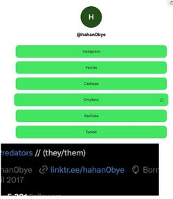 Screenshot of Regina Alonso’s Linktree page showing direct links to Instagram, Venmo, Cash App, OnlyFans, YouTube, and Tumblr under the username @hahan0bye.